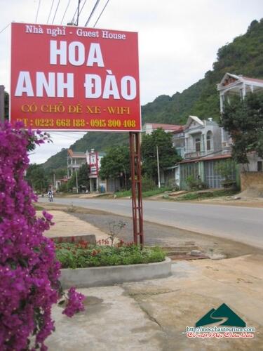 Nhà nghỉ Hoa Anh Đào Mộc Châu