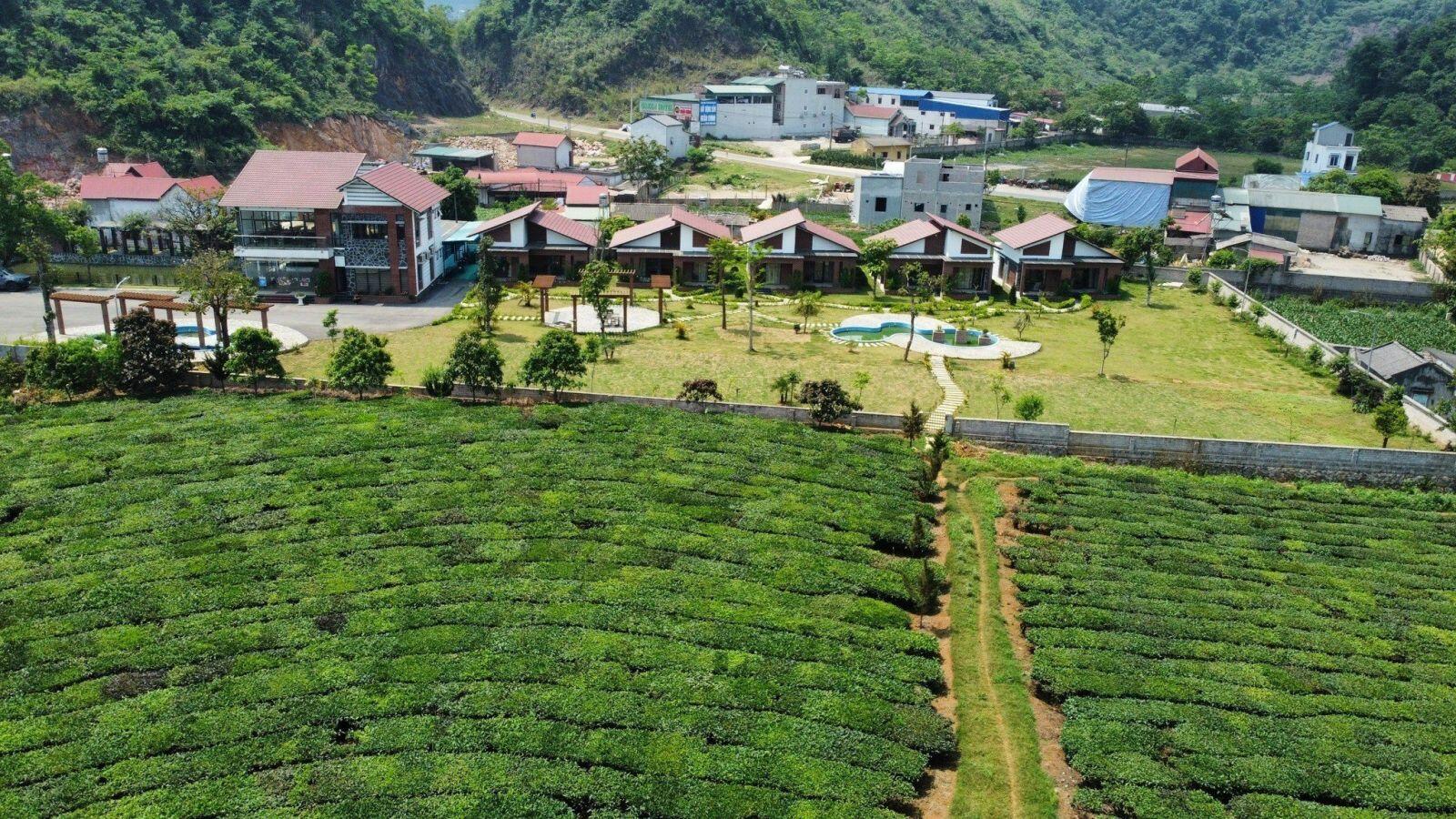 Emopea Mộc Châu