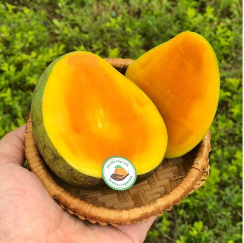 Yen Chau round mango