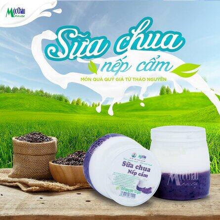 Moc Chau purple sticky rice yogurt