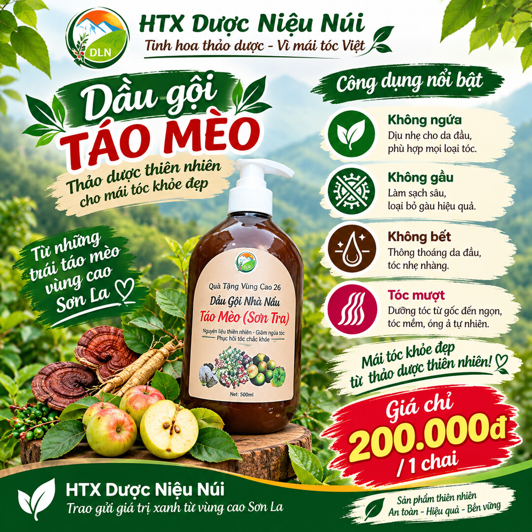 Dầu gội thảo dược Táo Mèo