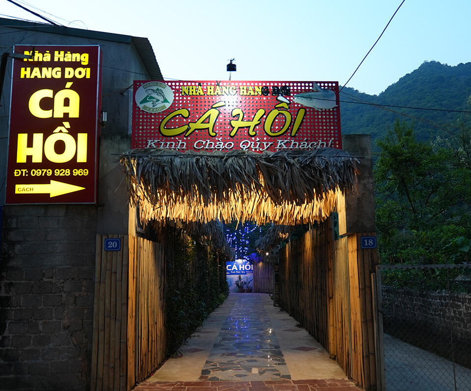 Nhà hàng cá hồi Hang dơi