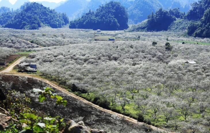 Na Ka Plum Valley
