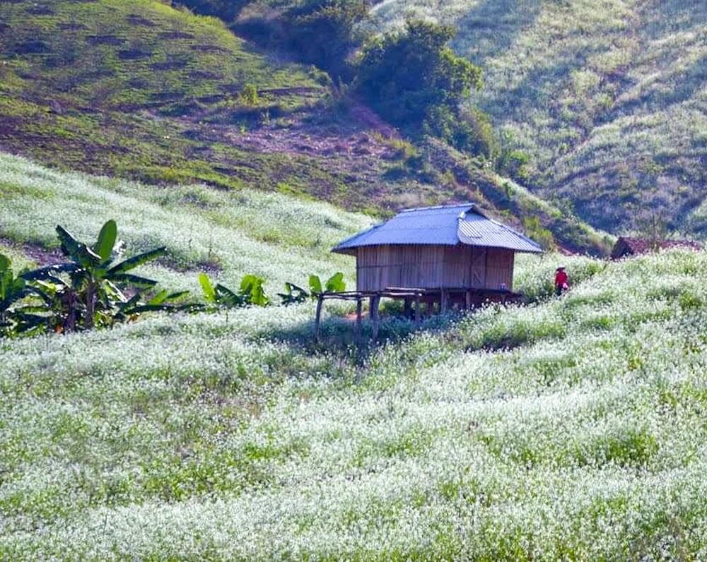Bản Thung Cuông (Thông Cuông)