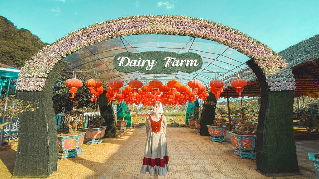 Trang trại bò sữa Mộc Châu